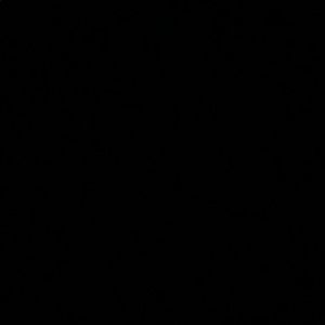 Meet your Posher, Dee